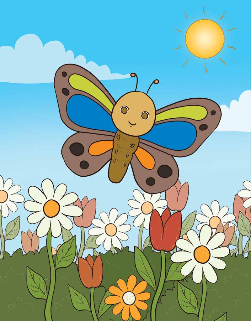 Bella the Butterfly